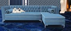 divano blu
