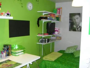 Vernice verde Vernice verde